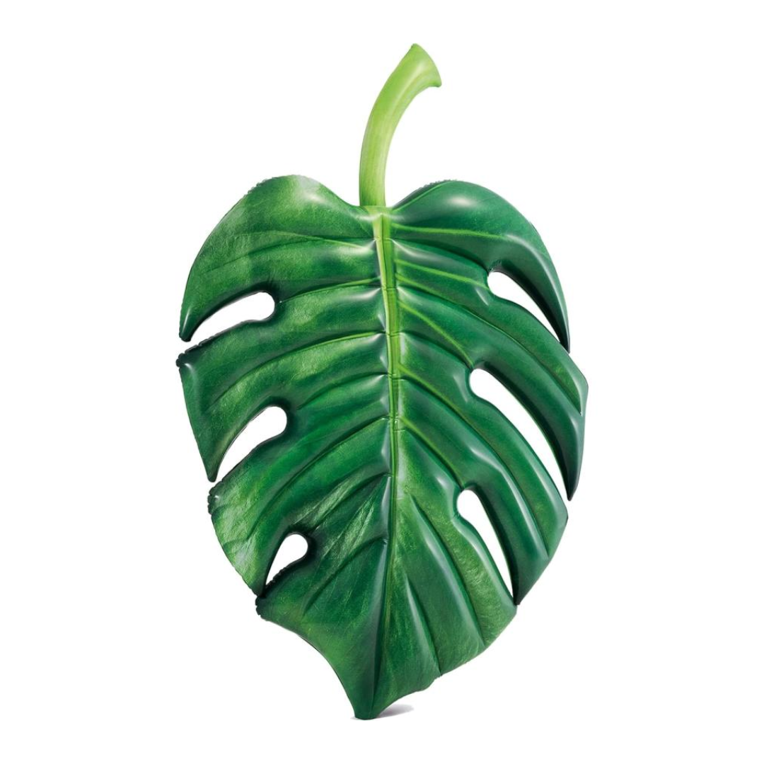 Intex Palm Leaf Lie-On Float