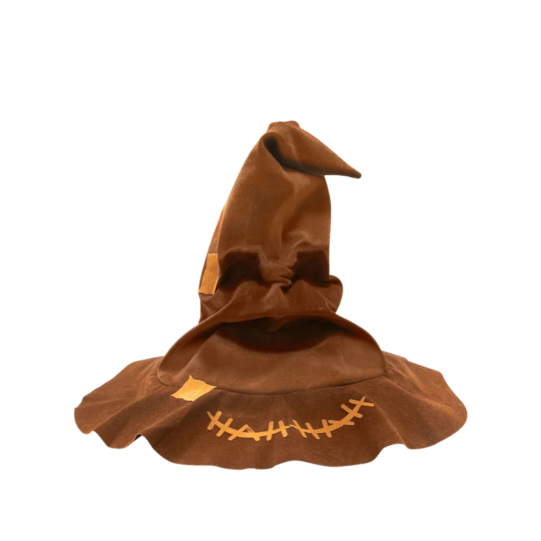Harry Potter | Hogwarts Talking Sorting Hat