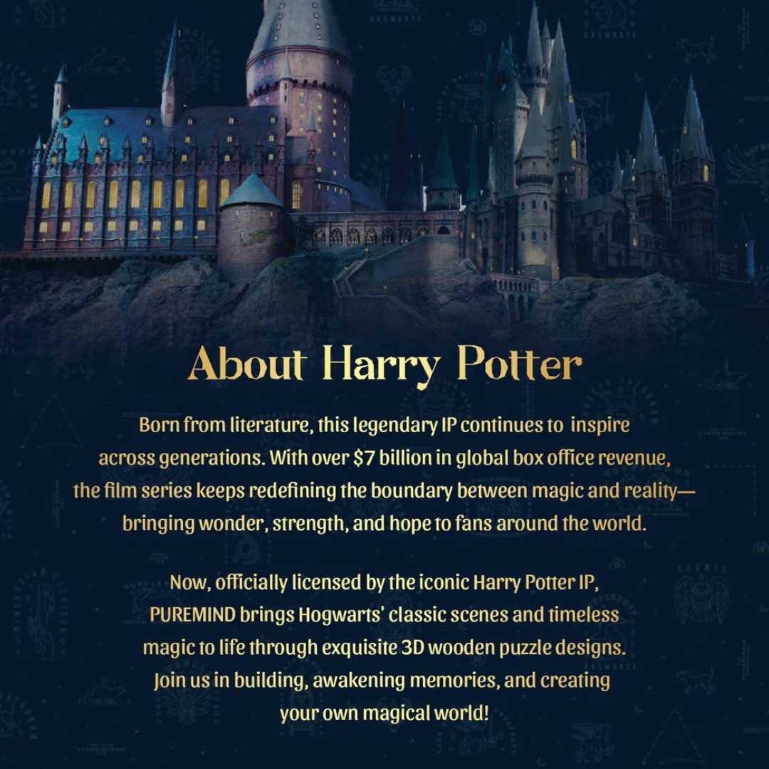 Harry Potter | Hogwarts Talking Sorting Hat