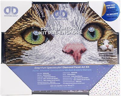 Green Eyed Beauty With Frame