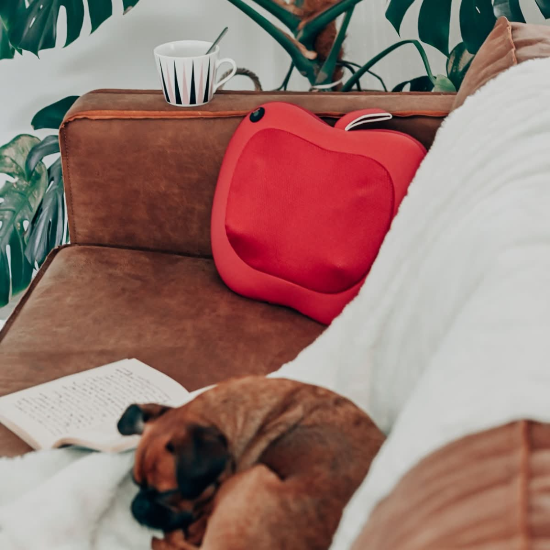 Relaxo Massage Pillow