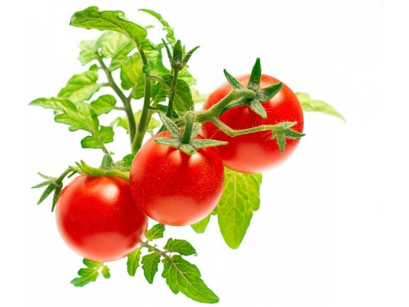 Click & Grow Plant Mini Tomato