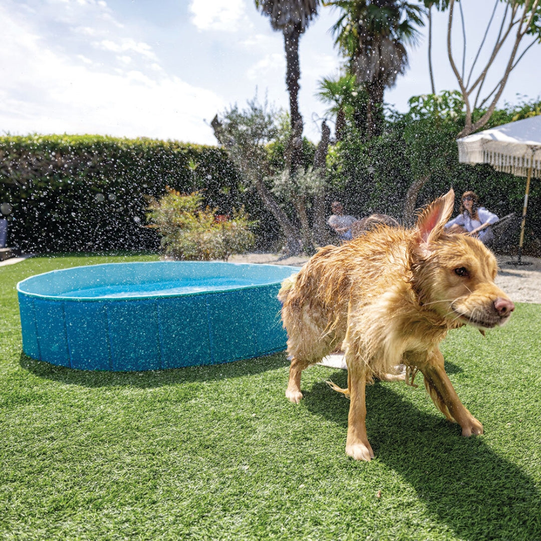 Foldable Pet Pool Kit