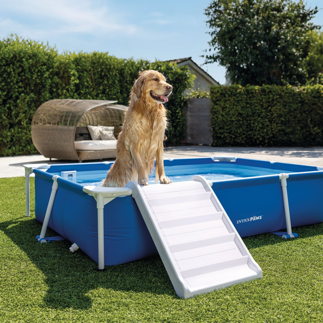 Rectangular Pet Pool Kit