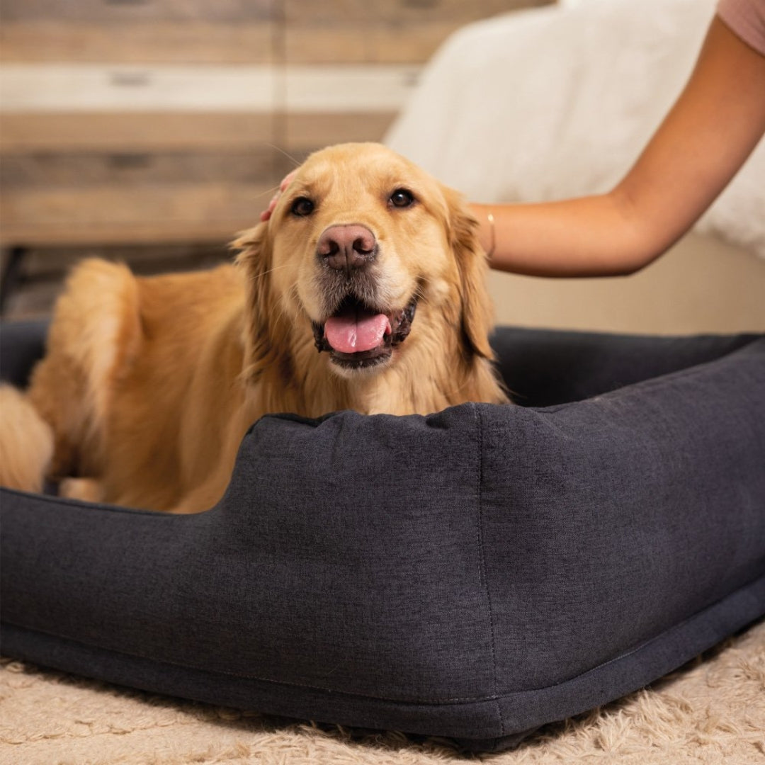 Inflatable Pet Bed with Hand Pump