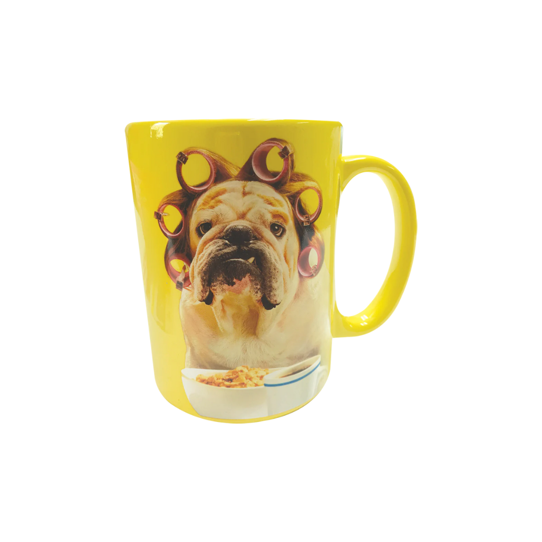 Avanti I Wont Shine Ceramic Mug - 16Oz