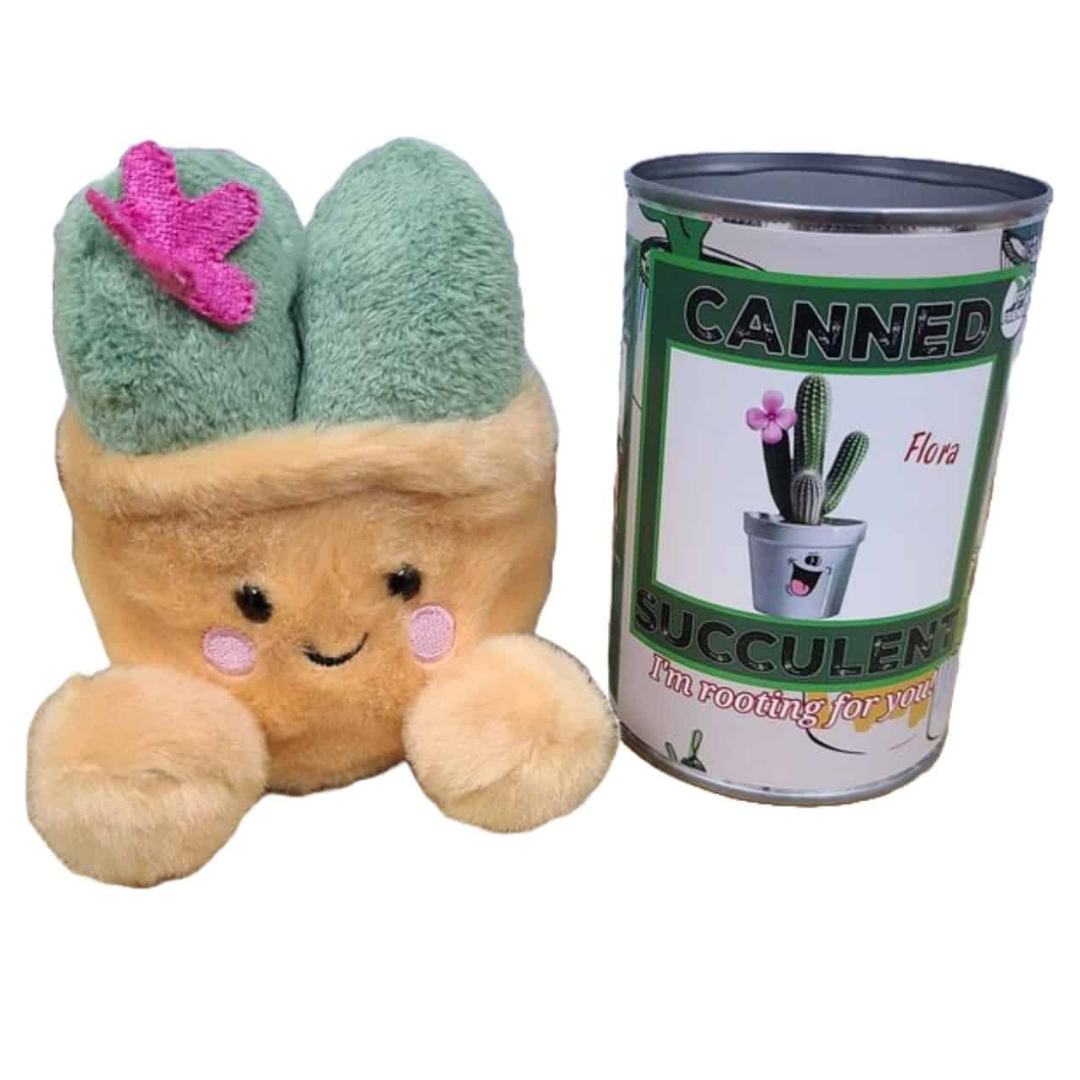 Canned Succulent