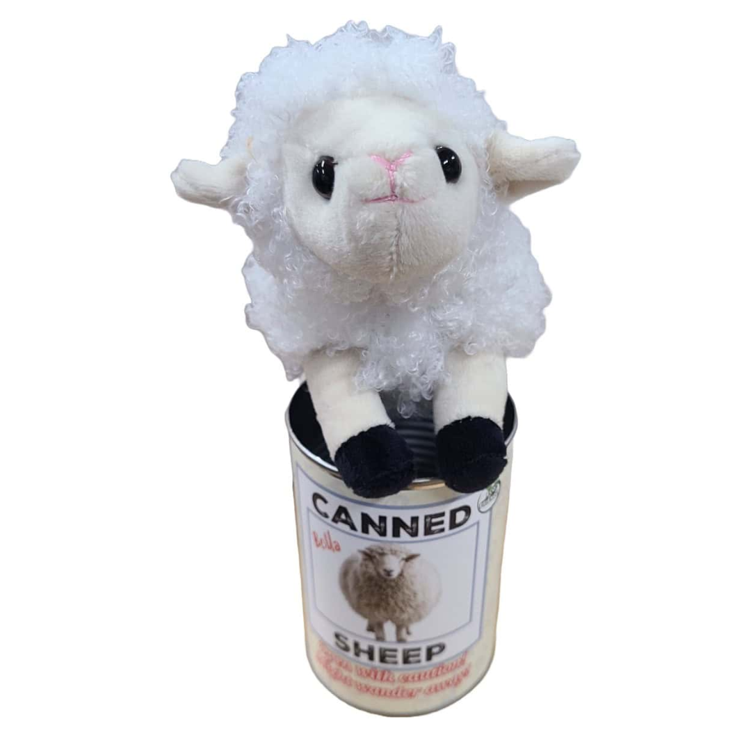 Canned Sheep