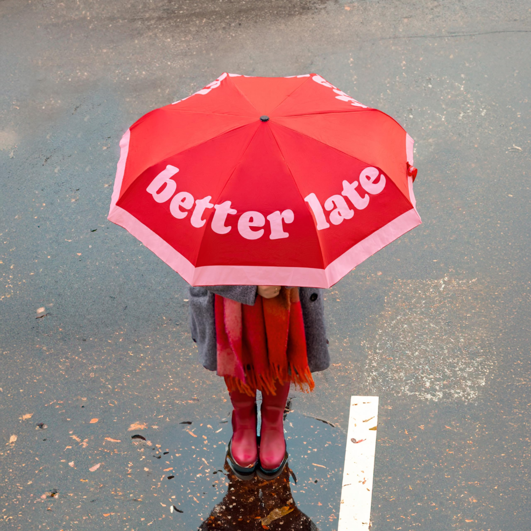 Foldable Umbrella | Better Late Than Ugly
