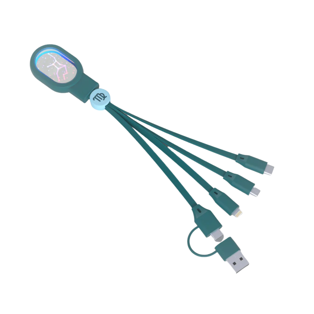 Astro 4-in-1 Cable