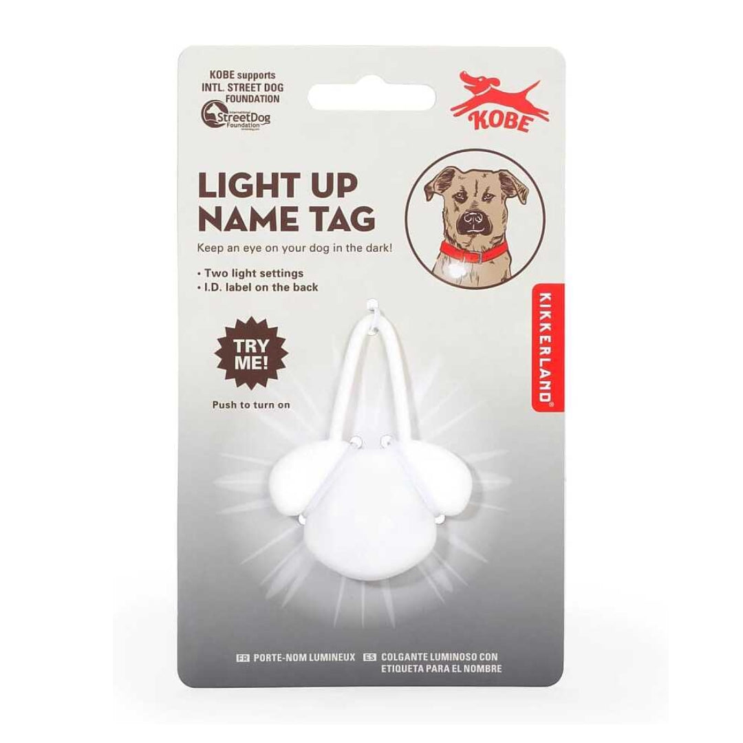 Light Up Name Tag
