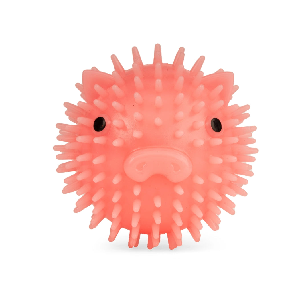 Piggy Dog Ball