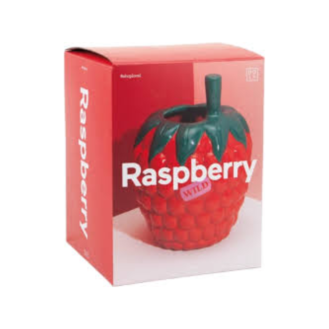 Farmers' Market Raspberry Vase