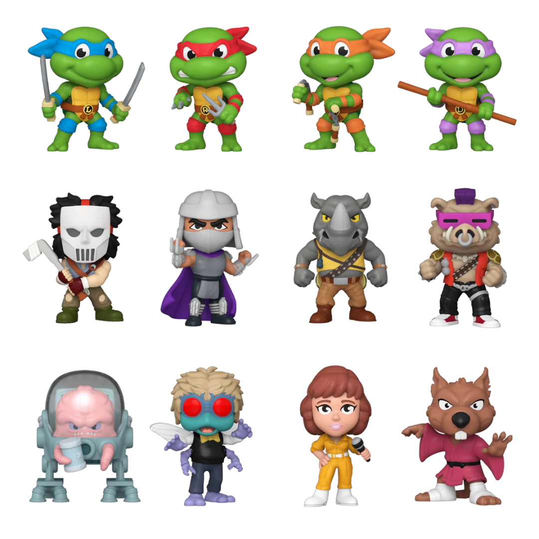 Ninja Turtle Funko Mini Mystery Box