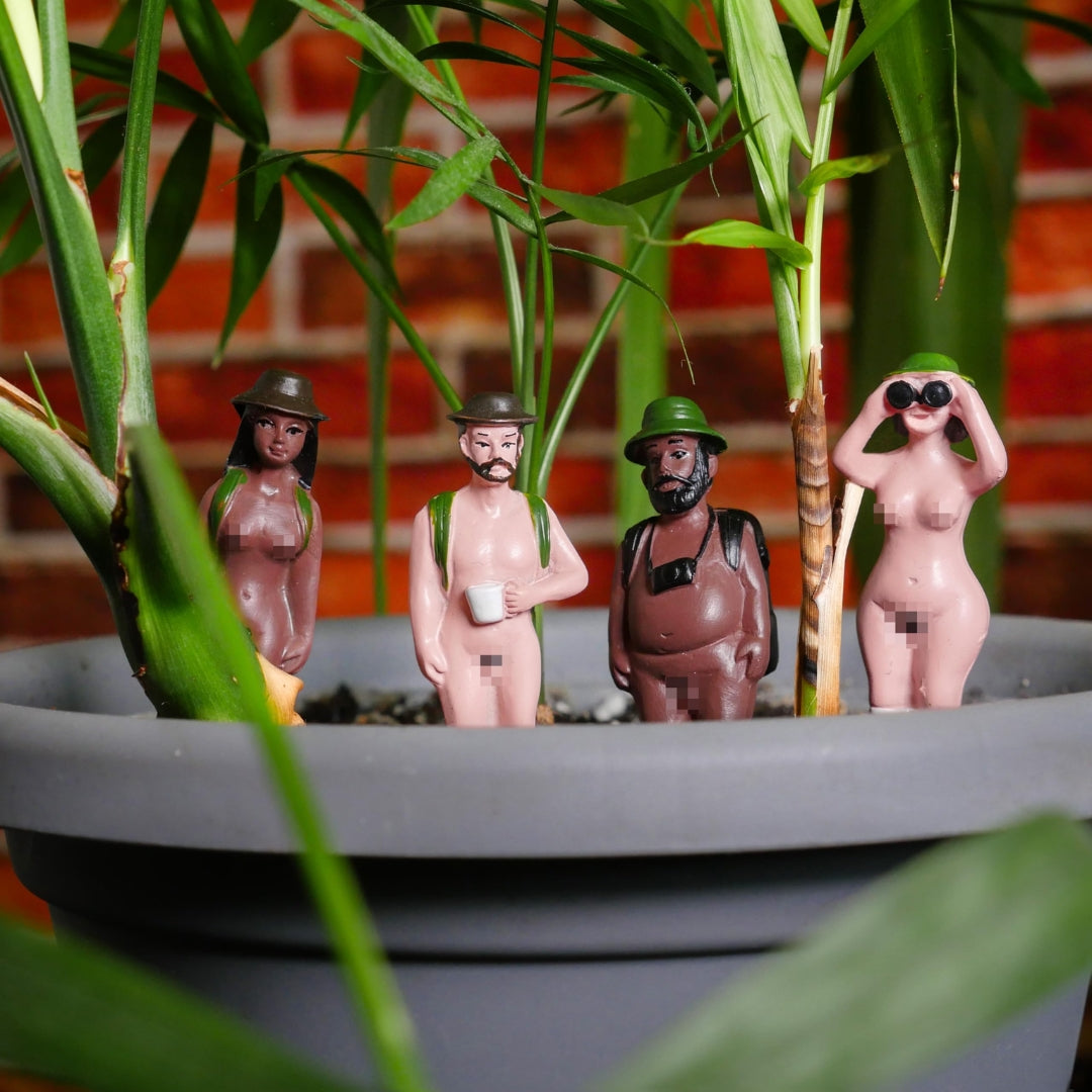Naked Ramblers Planters