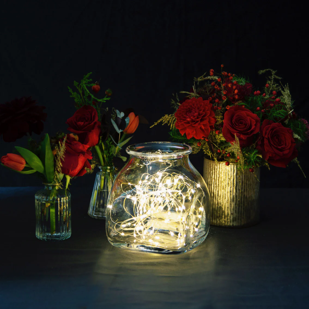 Silver Wire LED String Lights