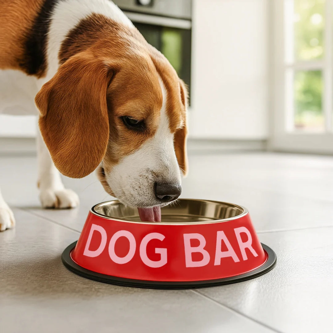 Pet Food & Water Bowl | Dog Bar