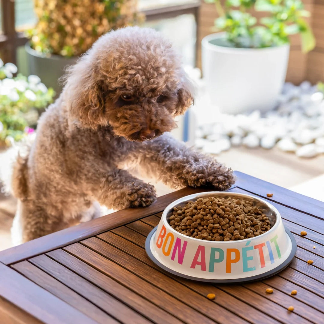 Pet Food & Water Bowl | Bon Appetit A Votre Sante