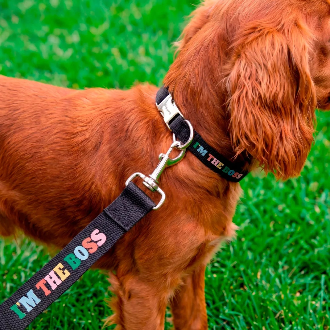 Collar & Leash Small | I'm The Boss