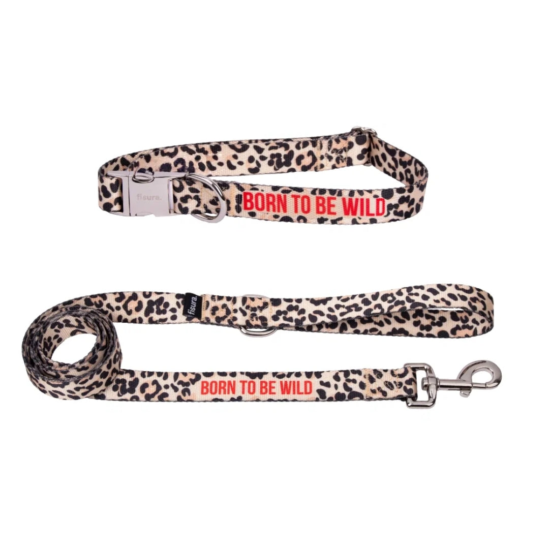 Collar & Leash Small | Born To Be Wild