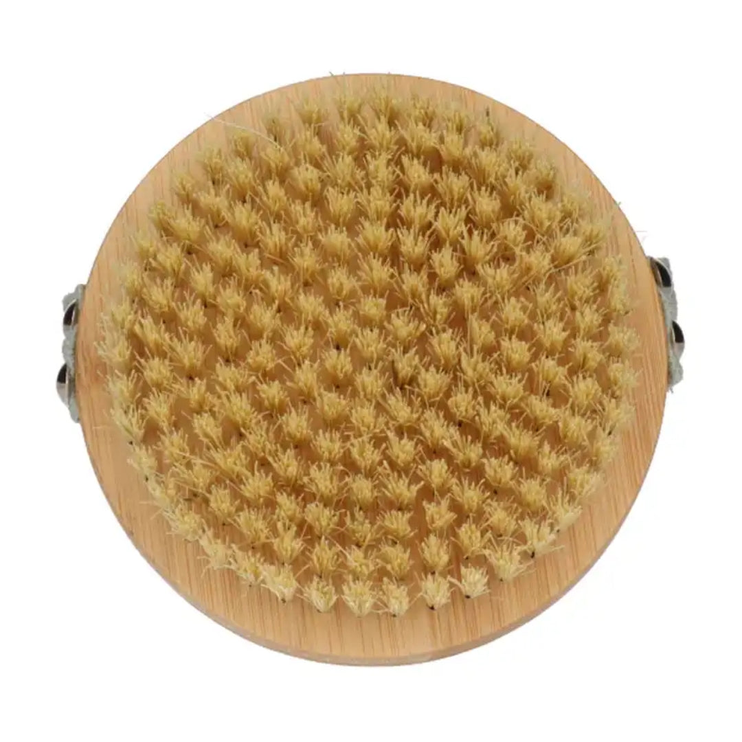 Dry Body Brush