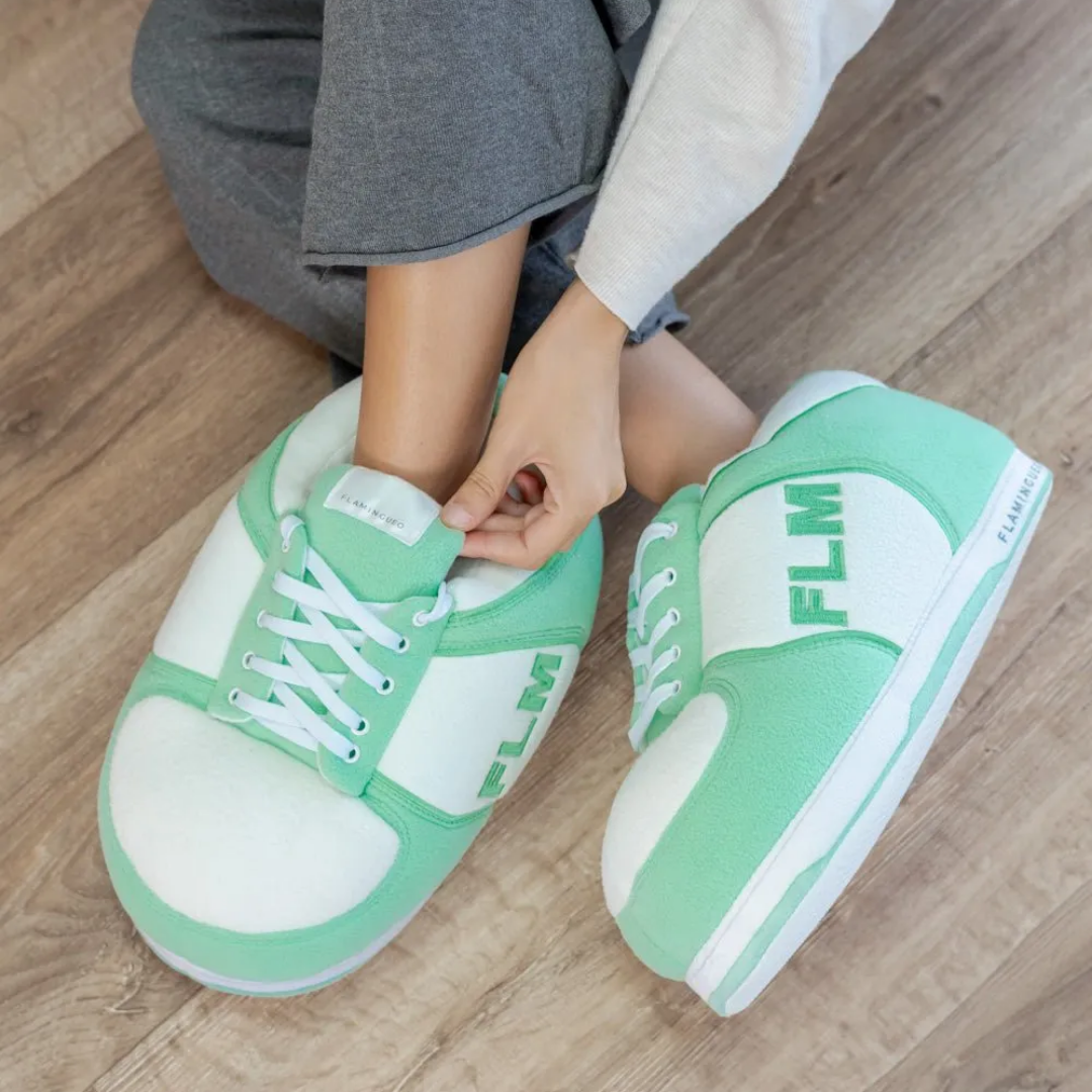 House Slippers | Dipsy