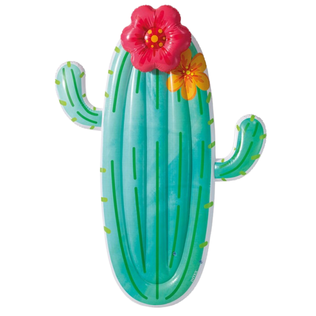 Intex Cactus Lie-On Float